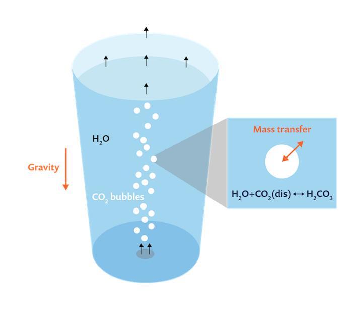The carbonation process of beverages
