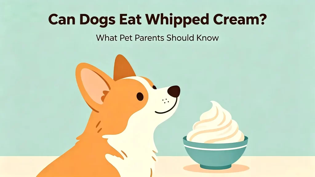 Can Dogs Eat Whipped Cream